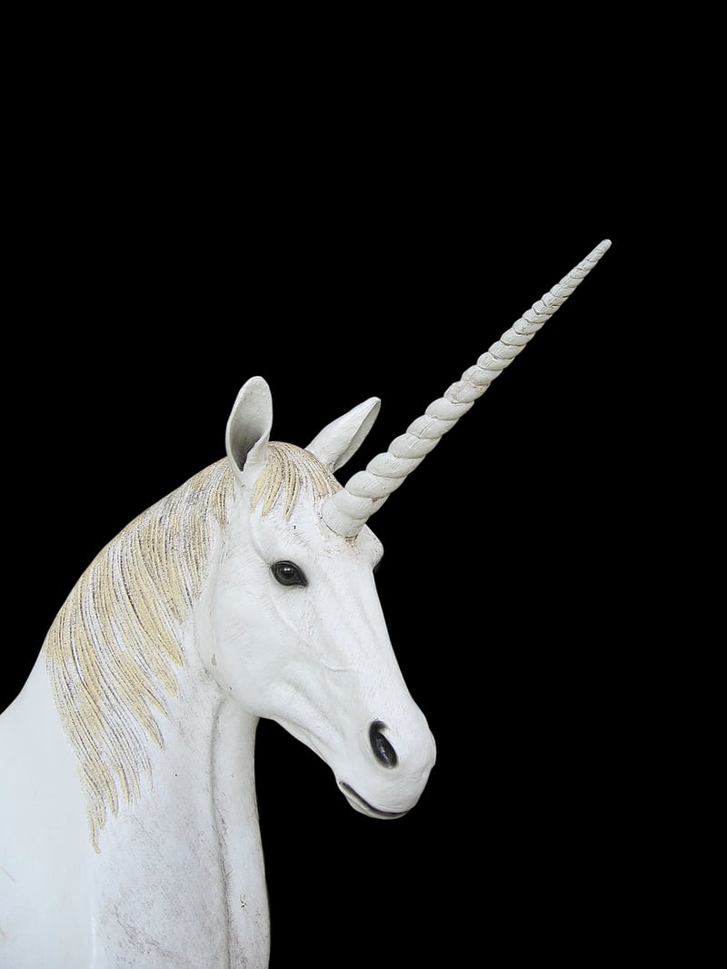 Unicorn Planters